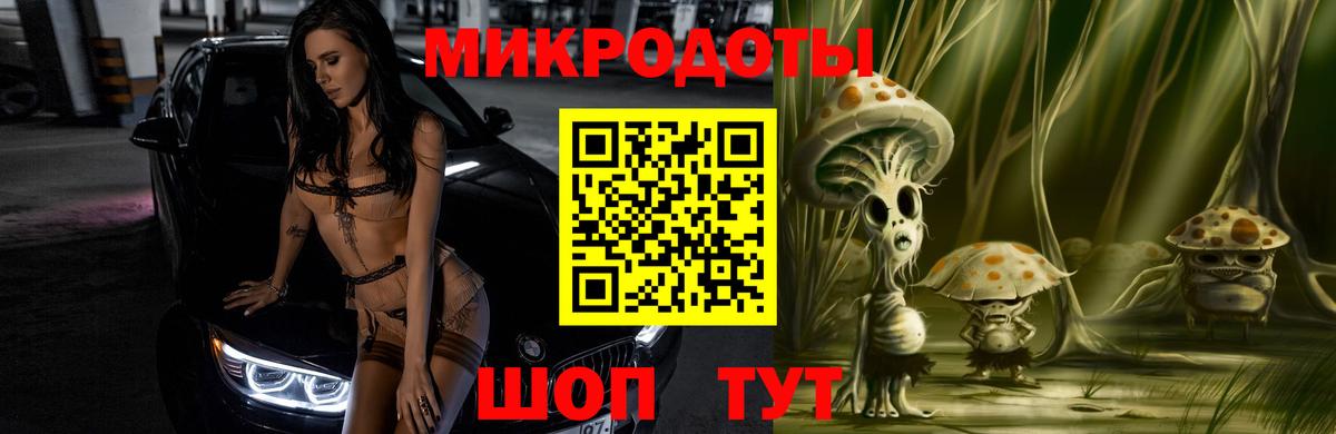 Черкесск  Псилоцибиновые грибы прущие грибы  Вход с VPN 